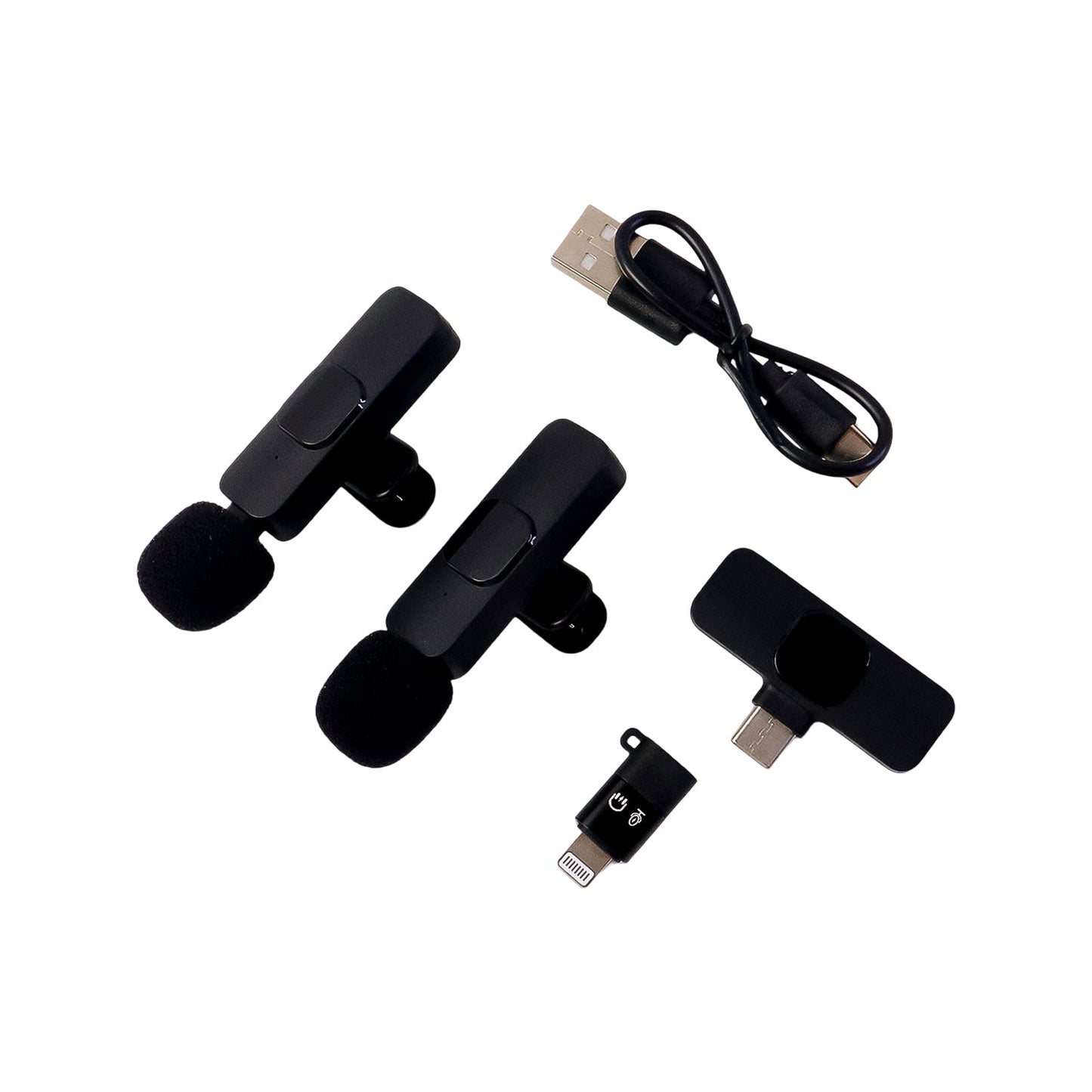 Twin Mic Set